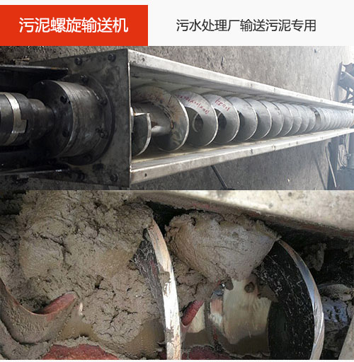 污泥成人抖音视频水平/倾斜输送，污水厂输送污泥专用设备。