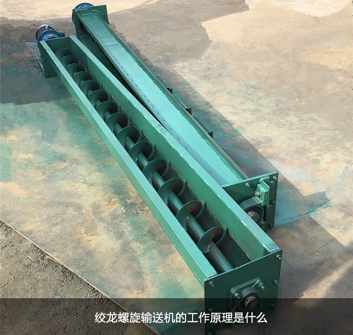 蛟龙成人抖音视频图片